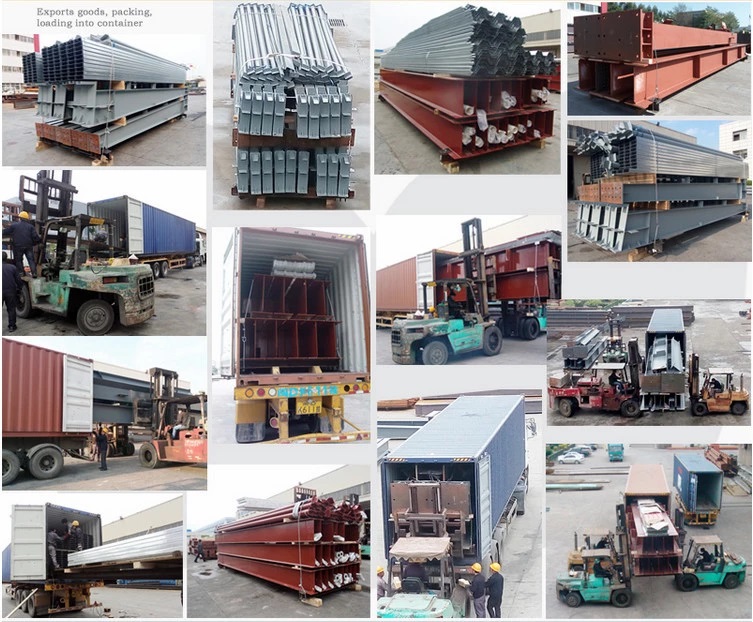 Shipping Logistics