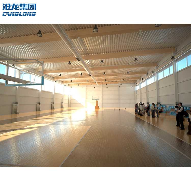 Professional Design Wholesale Gym Stadium Shed Galvanized Steel Structure Fitness Center Buildings