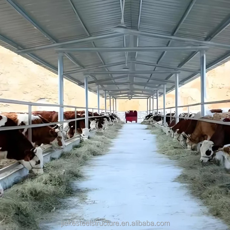 Multi-Functional Durable Steel Structure Farm - All-Purpose Agricultural Building for Livestock &amp; Poultry Breeding