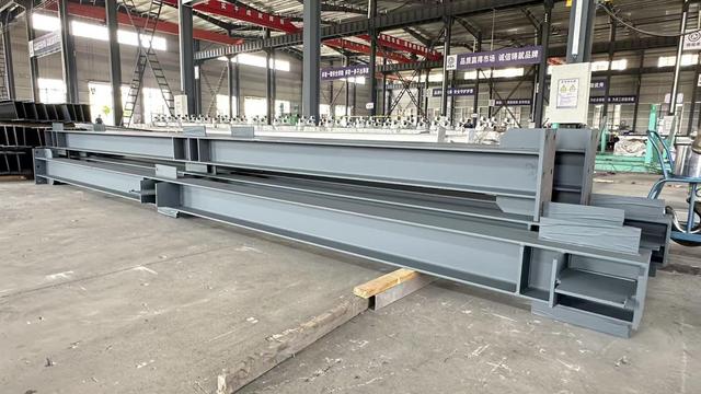 Steel warehouse building constructed by Guangzhou Dhingia Build