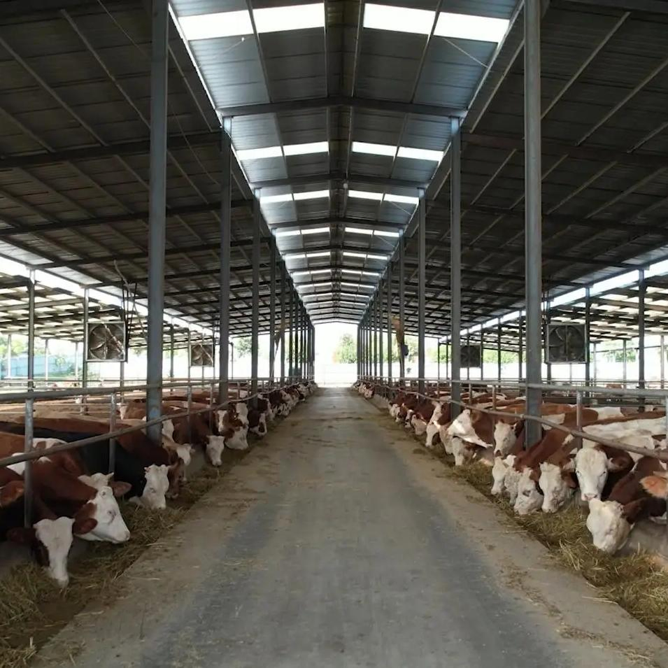 Durable Prefabricated Steel Building for Integrated Cattle Breeding and Agricultural Storage Facility
