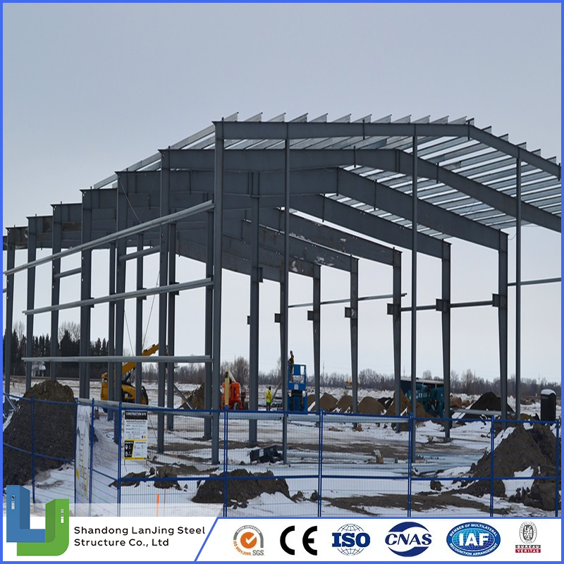Industrial Pre-Engineered Steel Structure Prefabricated Plant Factory Construction Building Project for Building Materials Steel Structures