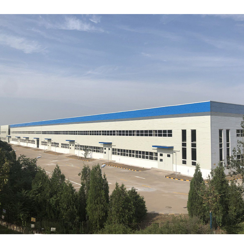 Light Weight Customized Steel Structure Buildings Wide Span Prefabricated Building Supermarket Shopping Mall Building