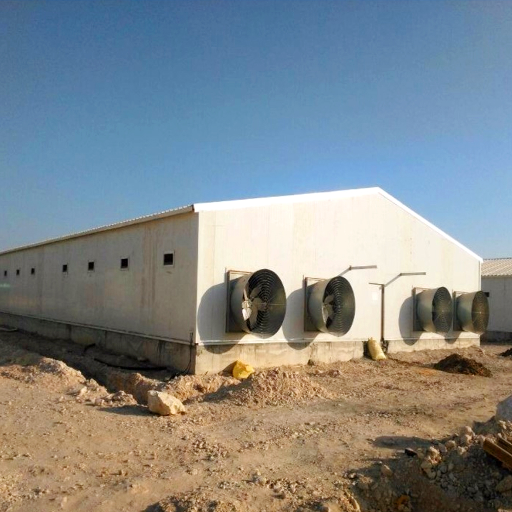 New Light Steel Structure Prefab Custom Farm Building Chicken Duck Poultry House Building Design Building Costs Stable