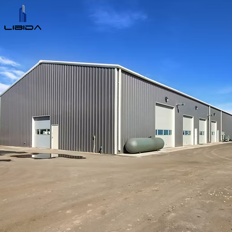 Prefabricated Steel Industrial Hall Building for Workshop Factory Logistics Center Customizable Solutions Galvanized Steel