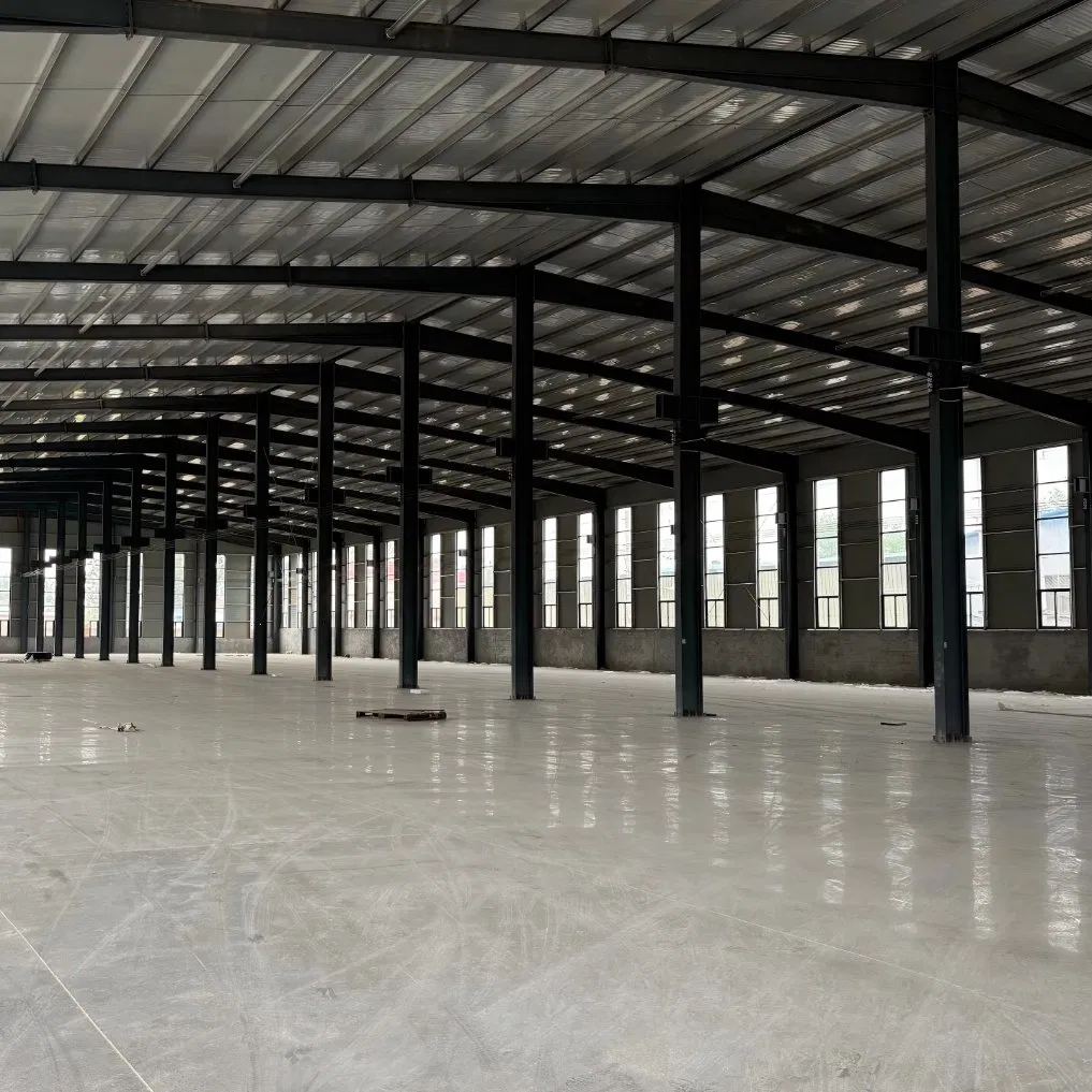 High Precision Large Span Steel Structure Factory Building for Storage Facility Durable