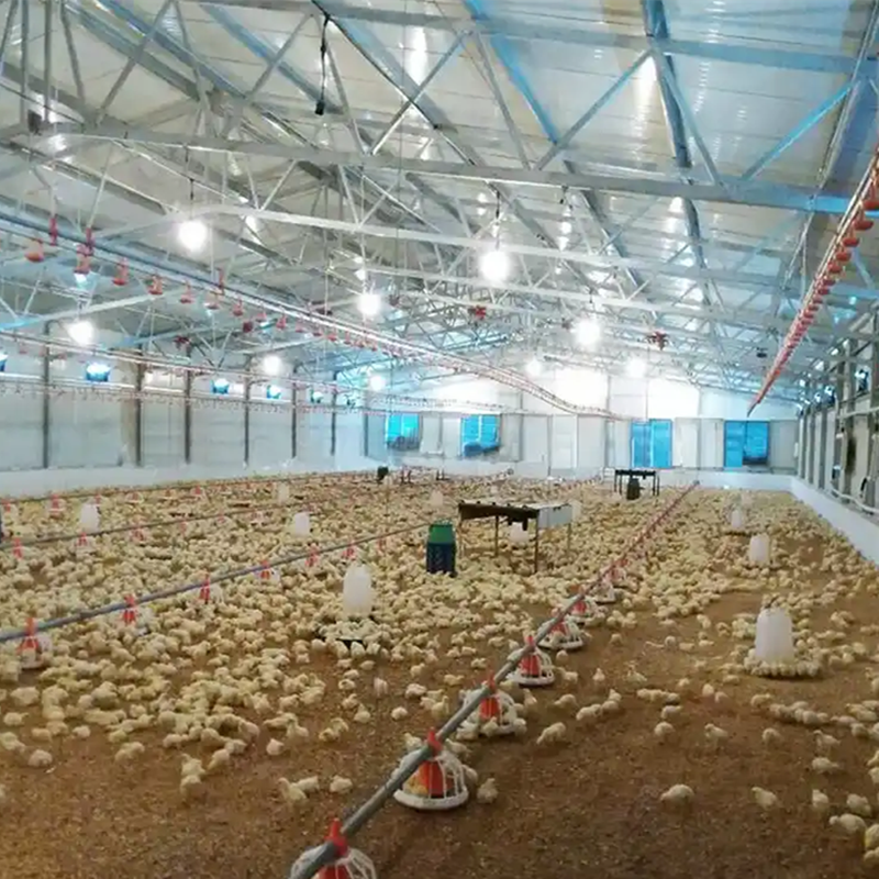 Light Steel Structure Poultry House Complete Insulated Steel Structure Chicken House Livestock Barn Fast Assembly