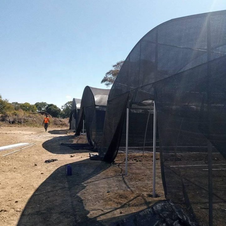 Project in Zambia