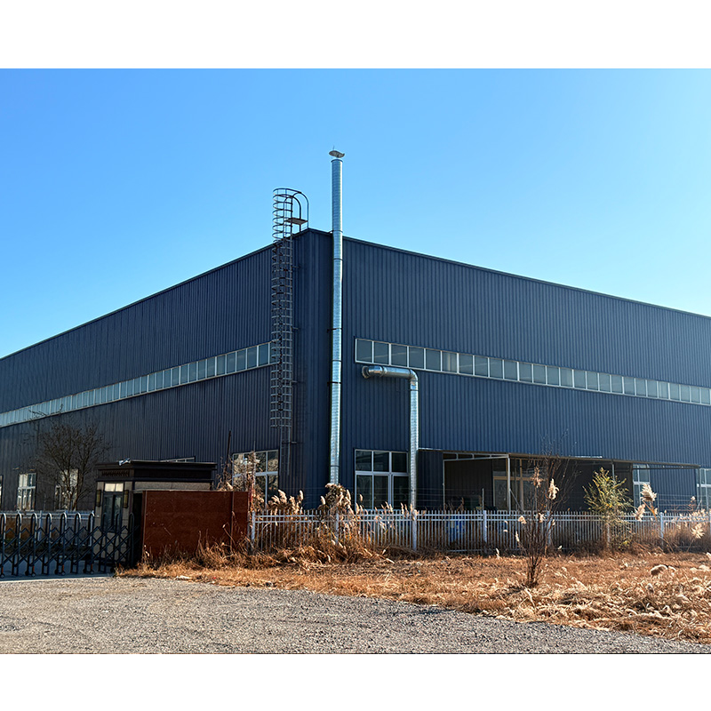 Light Weight Customized Steel Structure Buildings Wide Span Prefabricated Building Supermarket Shopping Mall Building