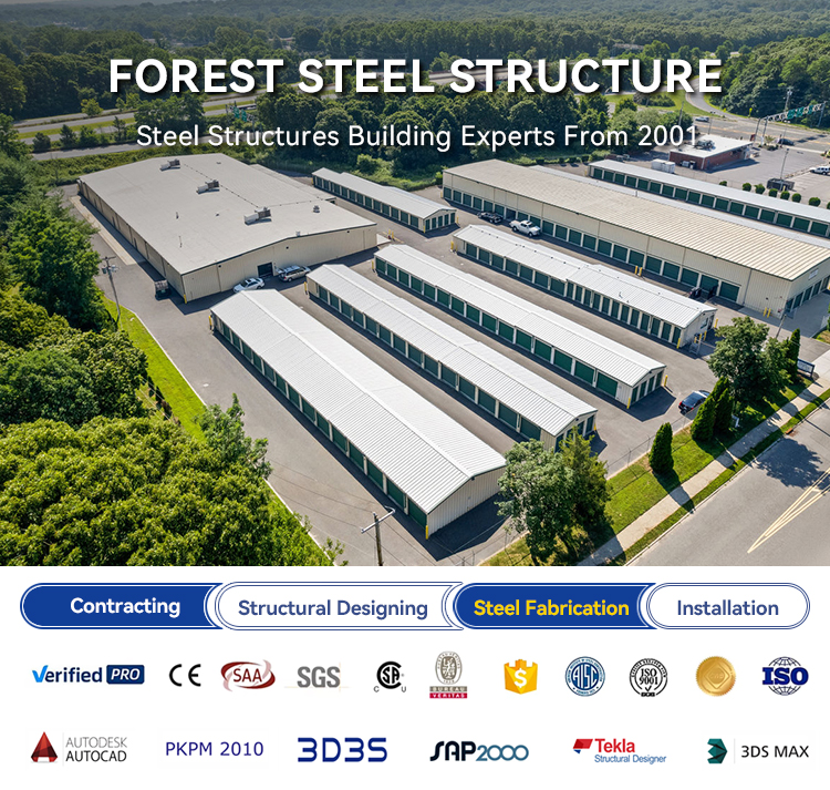 Steel Structure Building Presentation
