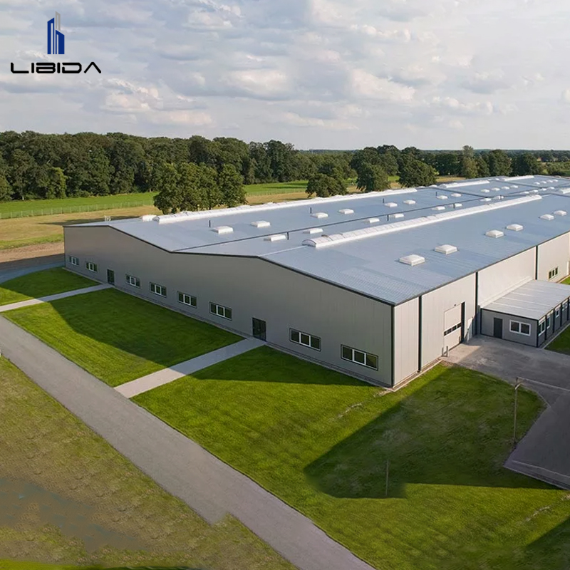 Prefabricated Steel Industrial Hall Building for Workshop Factory Logistics Center Customizable Solutions Galvanized Steel