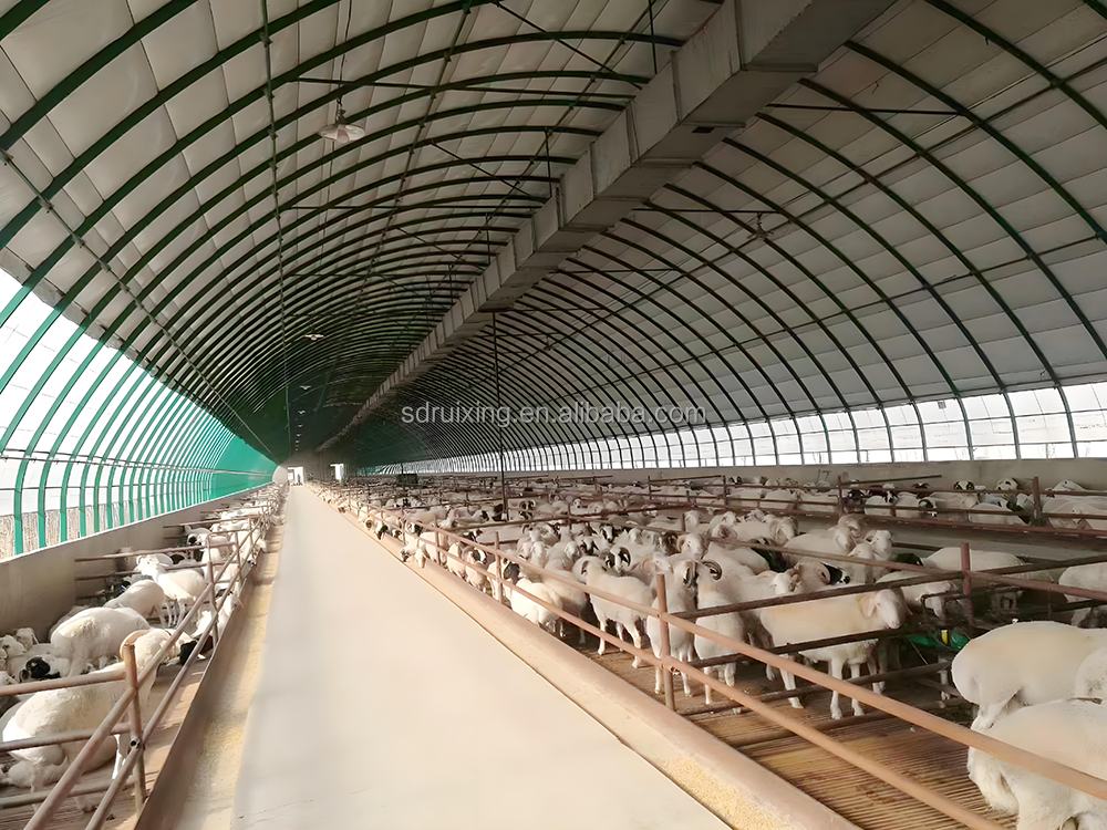 China Prefabricated Steel Structure Insulated Storage Sheds Workshop Garage Car Showroom Barn Sale Building Fast Warehouse