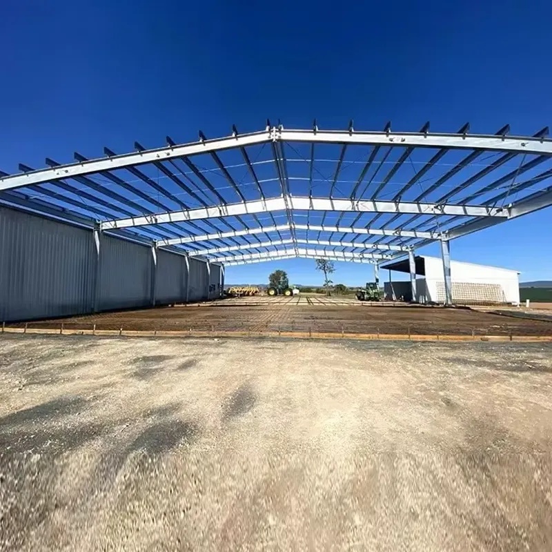 Large Span Steel Structure Aircraft Building Hangar Prefabricated Sandwich Panel Airplane Hangar