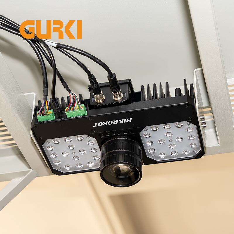 GURKI Warehousing Ecommerce Parcel Logistics Industry Static DWS Systems +2 Automatic Sorting Ports 3500PCS/H Capacity 21inch