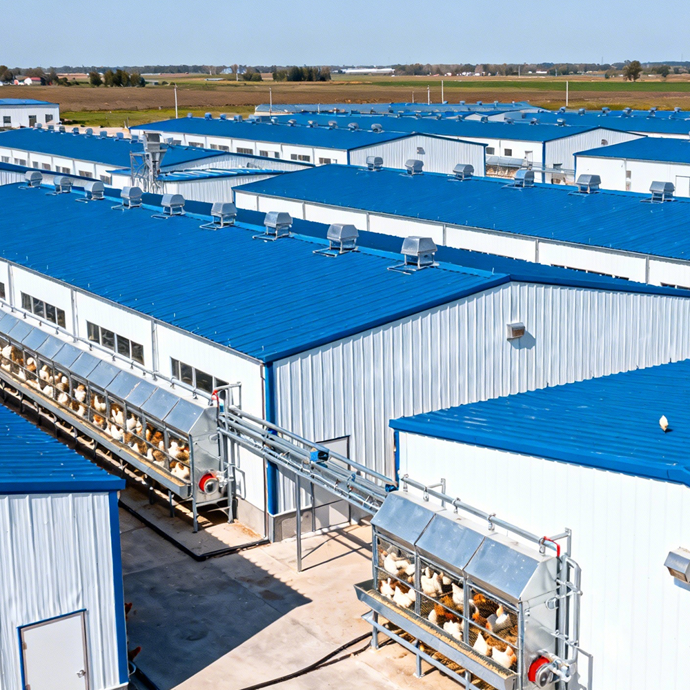New Light Steel Structure Prefab Custom Farm Building Chicken Duck Poultry House Building Design Building Costs Stable