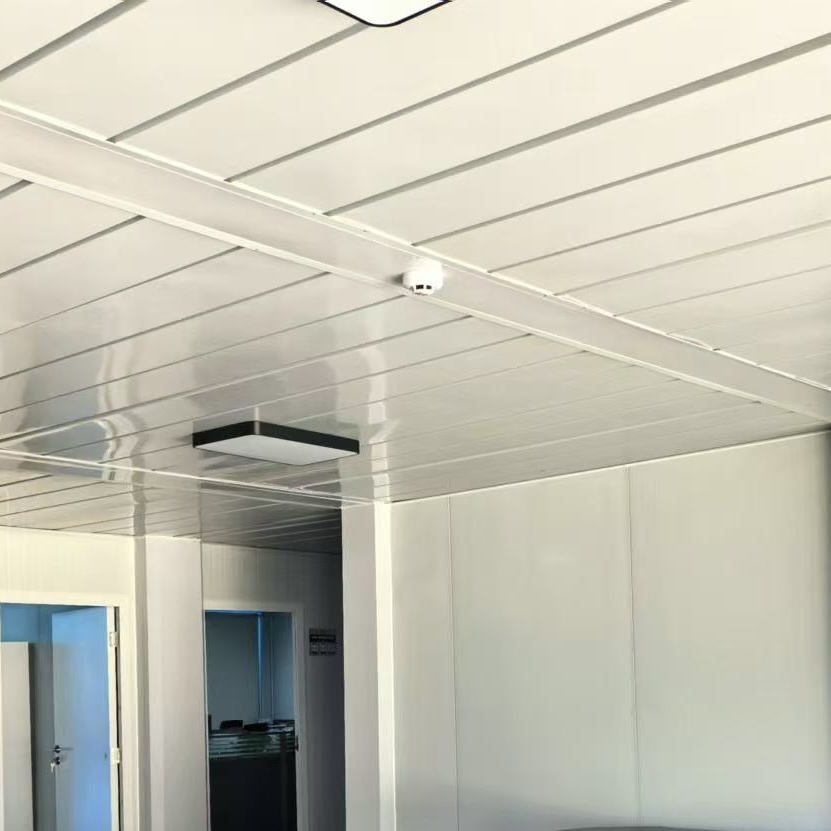 Type 831 Ceiling