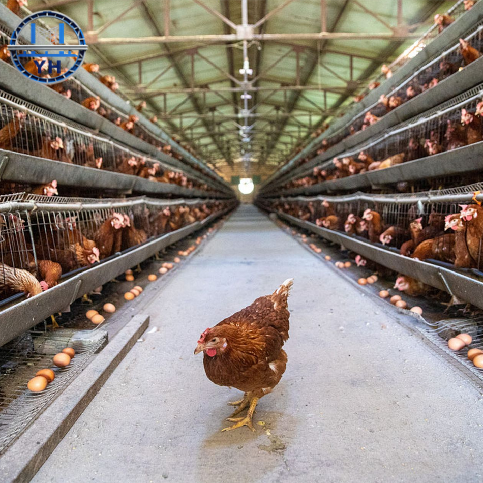 Light Steel Structure Poultry House Complete Insulated Steel Structure Chicken House Livestock Barn Fast Assembly