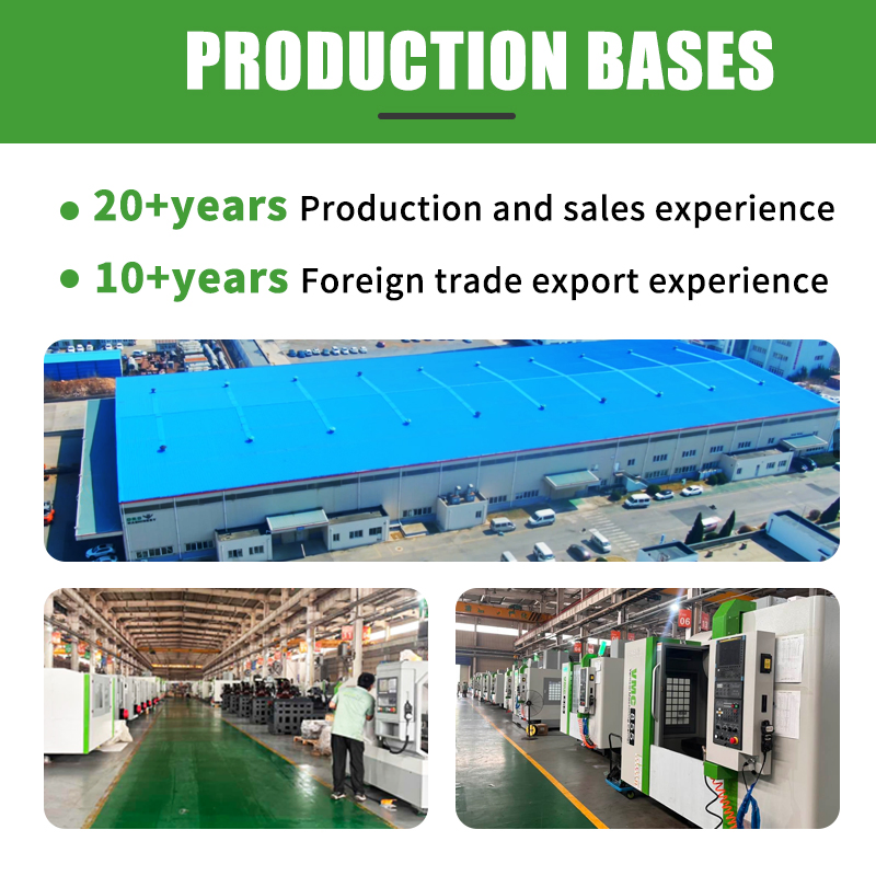 Precision CNC Turning Center with 12 Tool Stations and Fanuc System