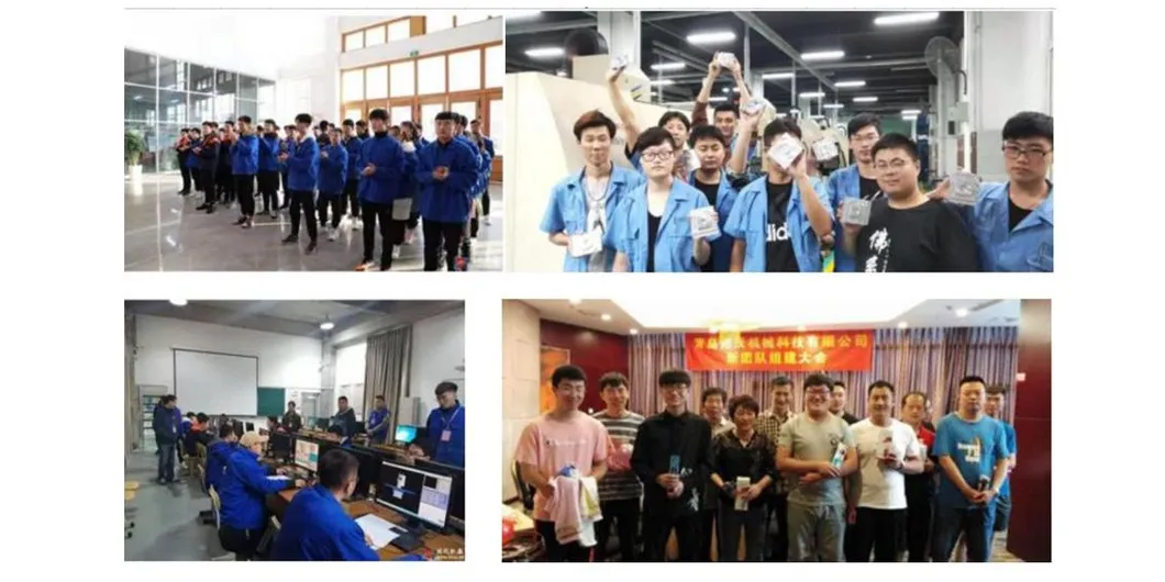 Our Professional Team