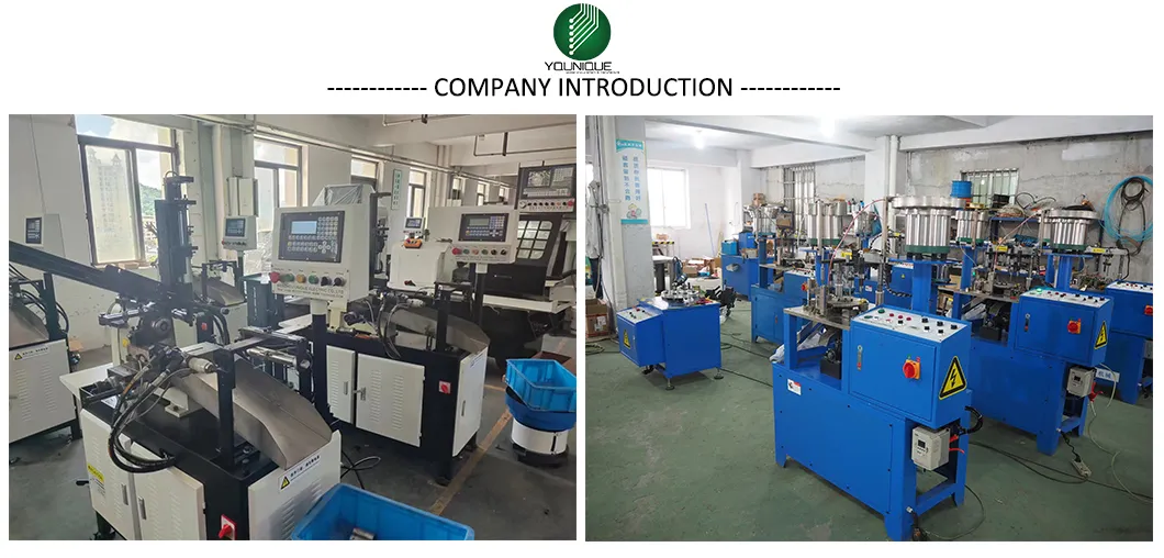 Company Profile View