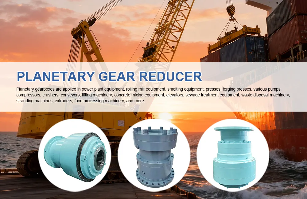 Planetary Gear Reducer