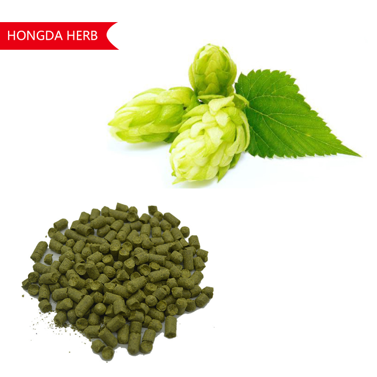 Related Product 3