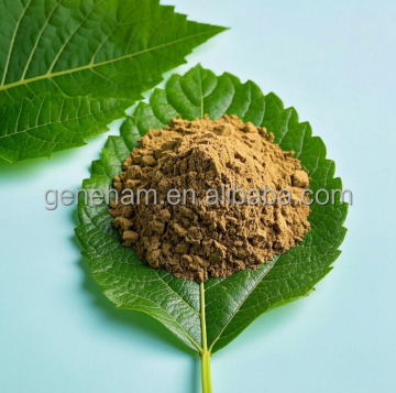 Herbal Mulberry Leaf Extract Powder for Nutraceutical Applications