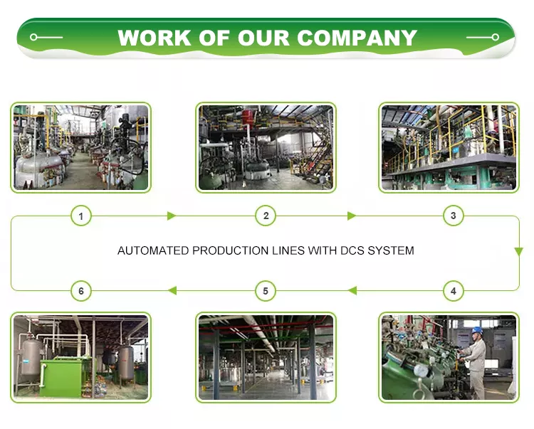 Company Profile 3