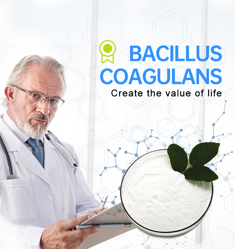 Bacillus Coagulans Food Ingredients From China Freeze-dried Probiotics Powder Original Manufacturer