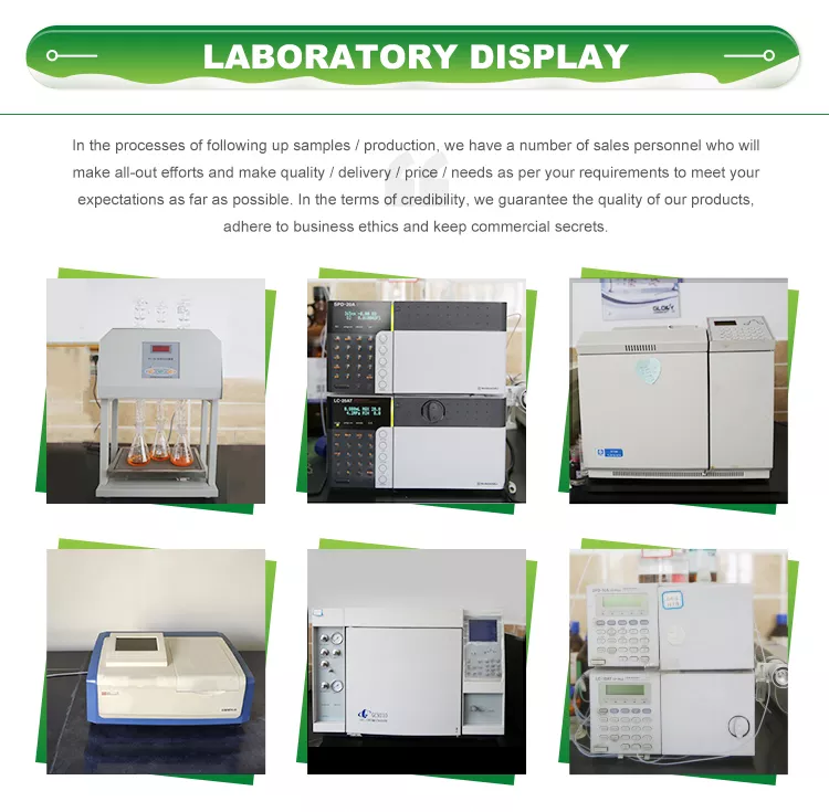 Company Profile 4