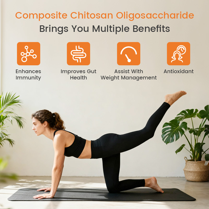 Healthy Weight Management Chitosan Oligosaccharide Tablets with Probiotic&amp;Curcumin CGMP ISO Factory Direct OEM