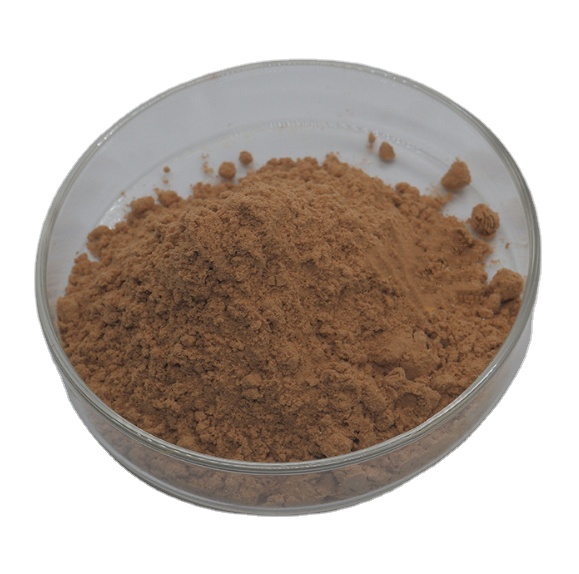 Natural Plant-based Preservatives Rich in Antioxidant Rosemary Extract for Cosmetics and Health Supplements