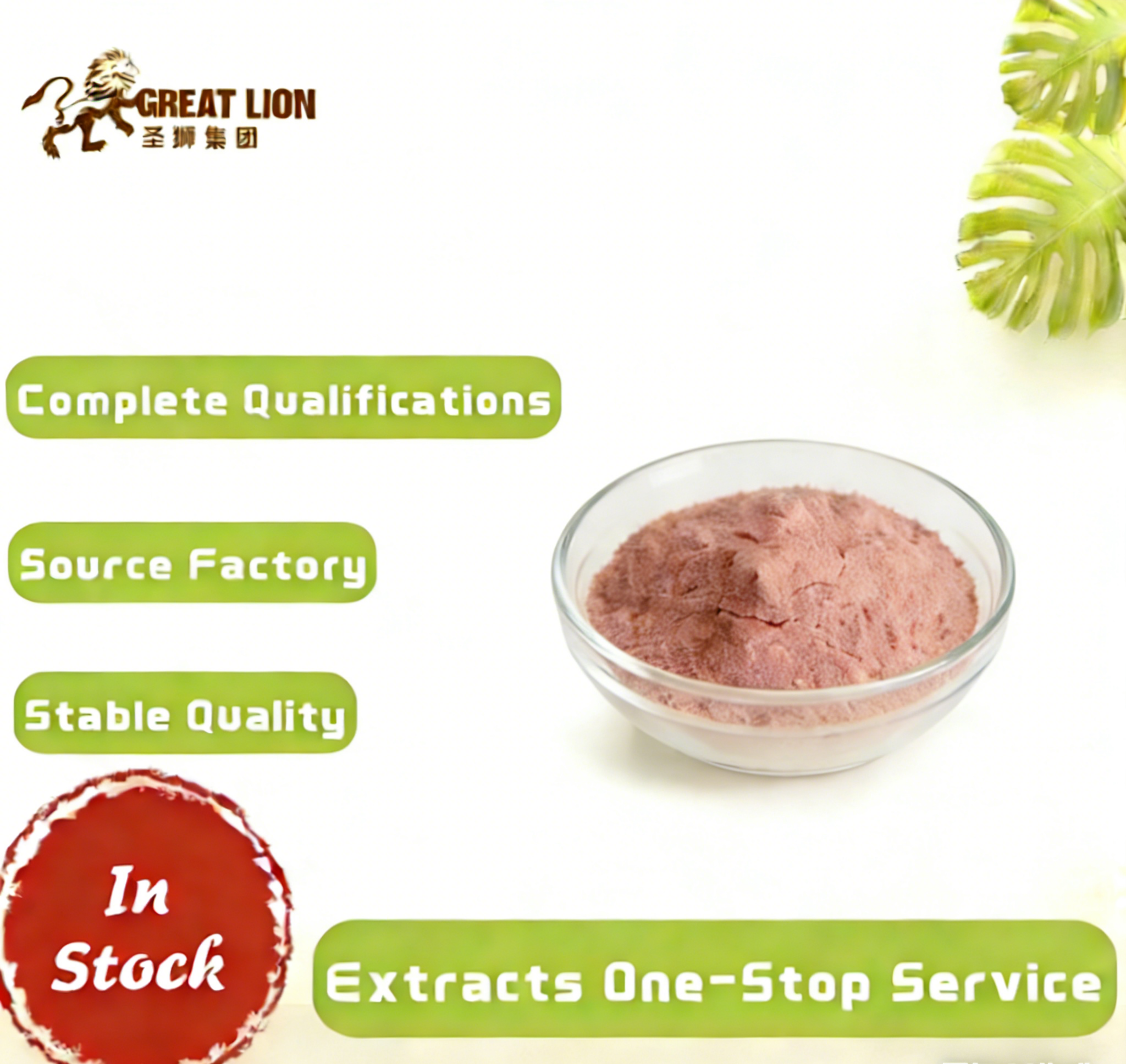 Grapefruit Powder 99% Food Ingredient Solid Beverage Water-Soluble Concentrate Stock Wholesale Support Customization
