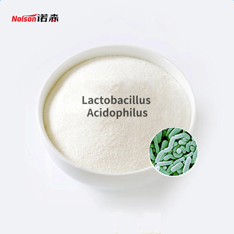 Freeze-Dried Probiotics Powder Lactobacillus Acidophilus