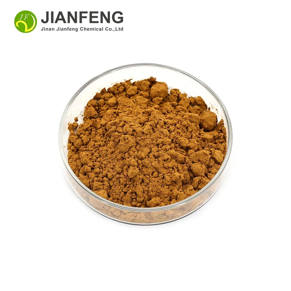 Rose HIPS Extract Plant Extract Raw Material High Quality Factory Supply