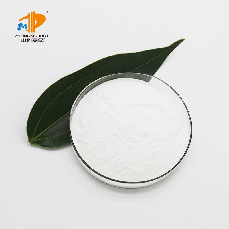 Lactobacillus Salivarius Food Ingredients From China Freeze-dried Probiotics Powder Original Manufacturer