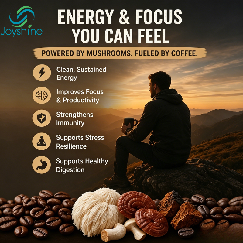 Wholesale OEM Organic Mushroom Coffee 6 in 1 Mushroom Blend Coffee Dropshipping Instant Lions Mane Mushroom Coffee Powder