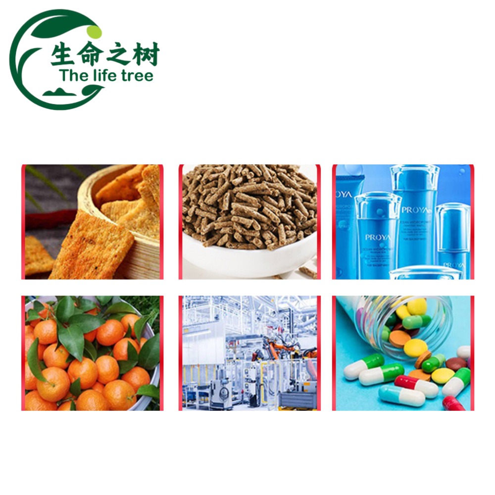 Multifunctional Sorbic Acid Food Grade Preservative &amp; Antioxidant 25kg Pack for Food Additives Tech Support