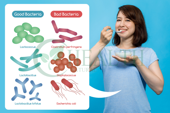 Probiotics Display