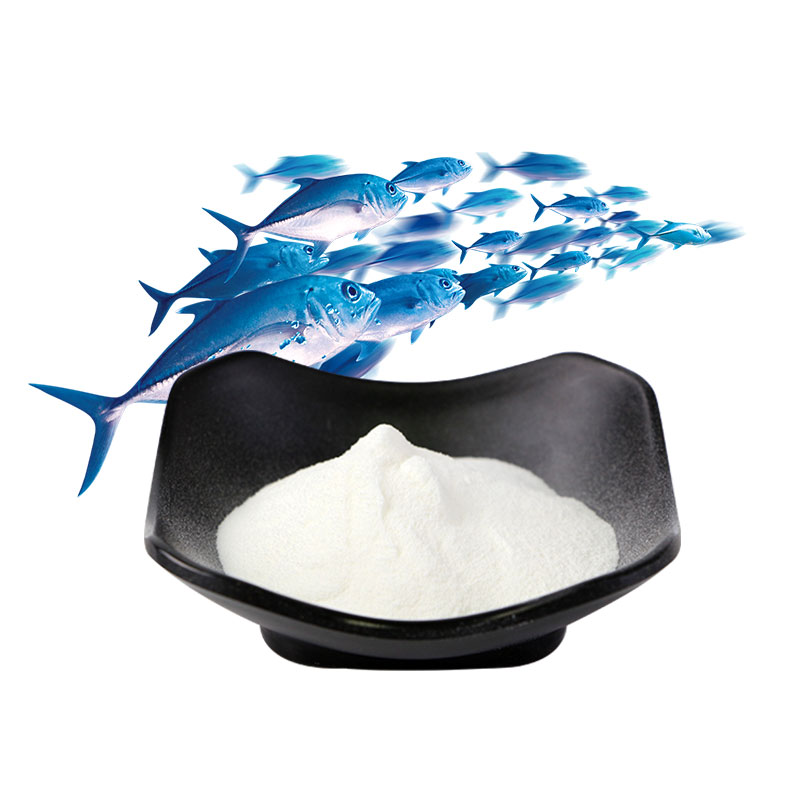 AMULYN High Quality Flavorless Odorless Fish Collagen (90% Protein) Powder Nutrition Enhancers Bulk Wholesale Food Additives