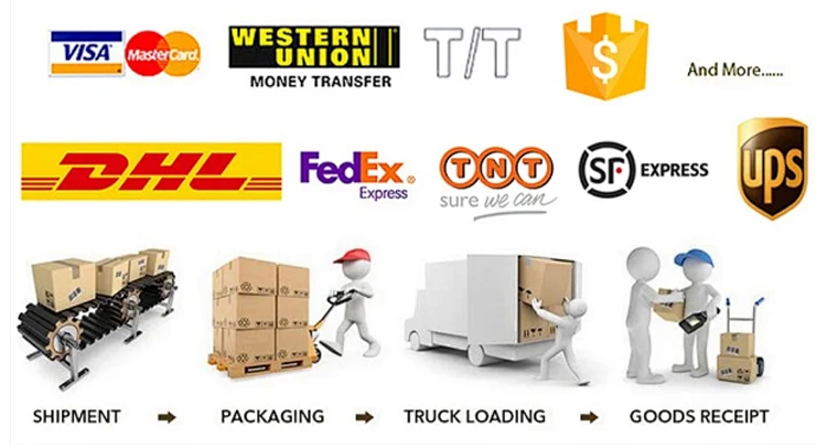 Logistics and Shipping