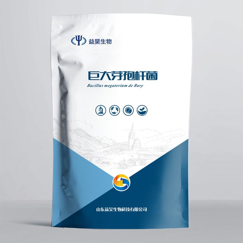 High Quality 100 Billion Bacillus Megaterium Water Soluble Melon Fertilizer For Root Growth 100% Biological Powder Controlled
