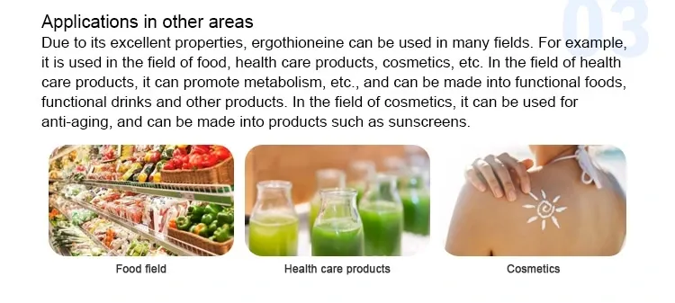 High Purity Skin Care Active Ingredient Ergothioneine/Egt
