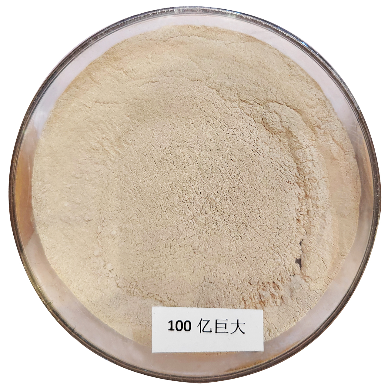 High Quality 100 Billion Bacillus Megaterium Water Soluble Melon Fertilizer For Root Growth 100% Biological Powder Controlled