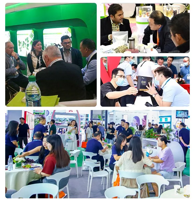 Health Products Plant Extract Raw Materials PQQ Pyrroloquinoline Quinone PQQ