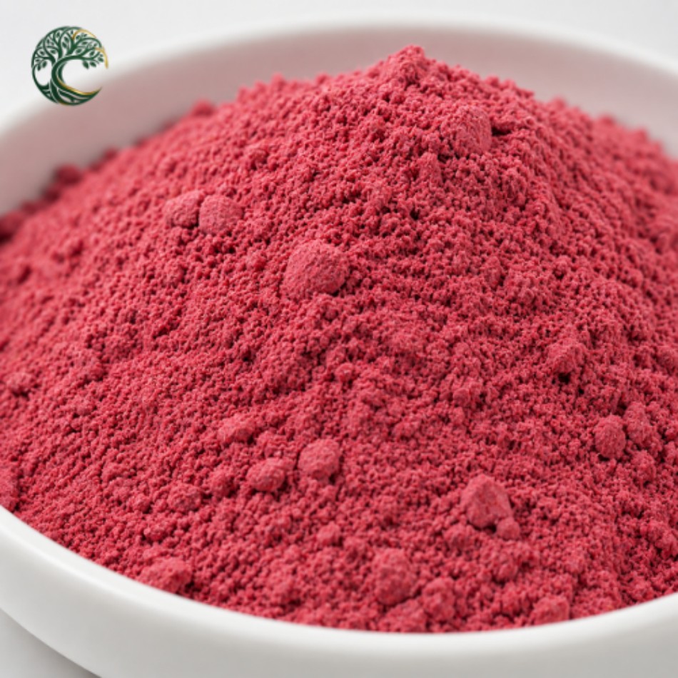 Premium Organic Cranberry Fruit Juice Powder Bulk Water Soluble Food Grade Beverage Ingredients Wholesale