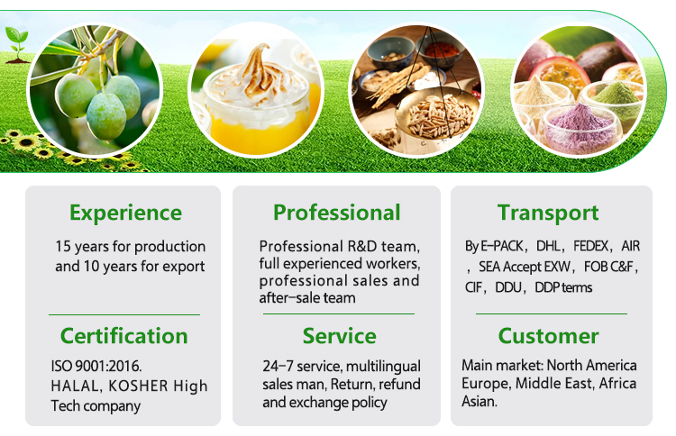 Food Grade Feed Grade L-Tryptophan Powder