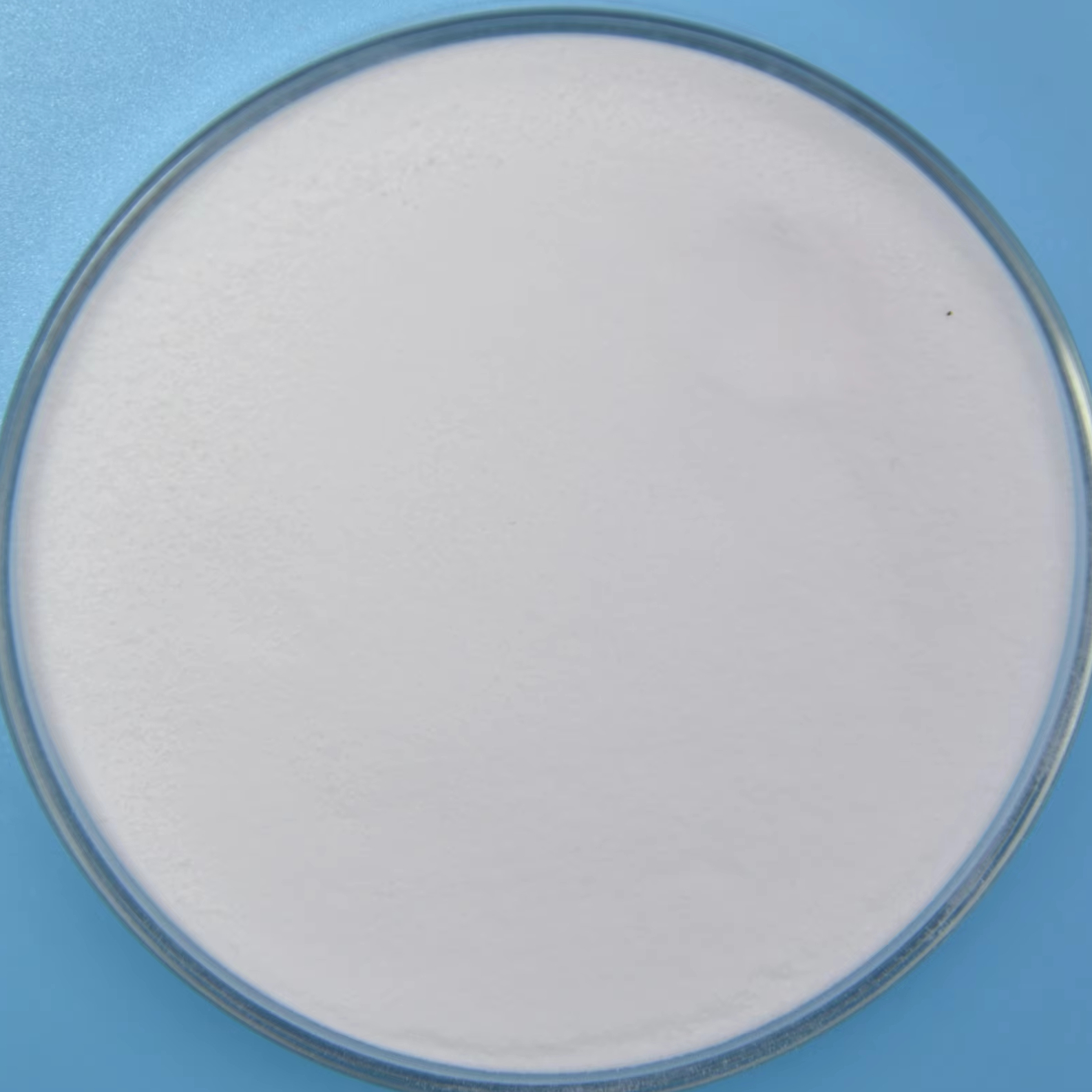 Lactobacillus Salivarius Food Ingredients From China Freeze-dried Probiotics Powder Original Manufacturer