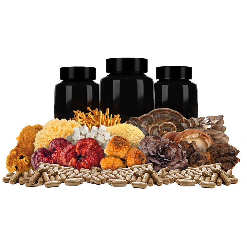 Pure 12 Mushroom Complex Extract Powder Capsule Bulk/OEM/Retail Comprehensive Nutrition Unique Formula