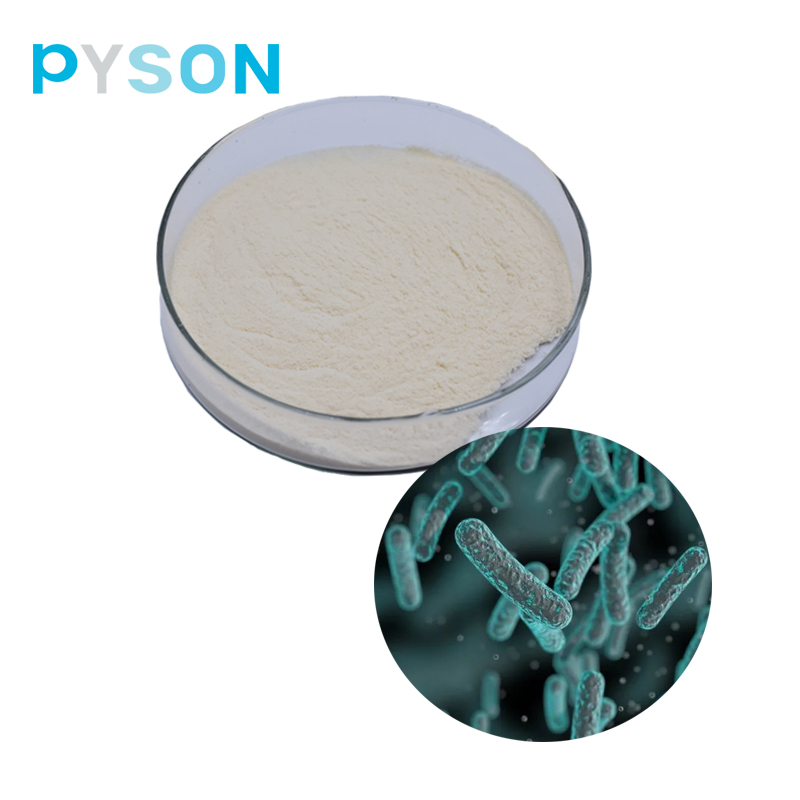 High Quality and Purity 300 Billion Viable Cell Probiotics Powder Bifidobacterium Bifidum